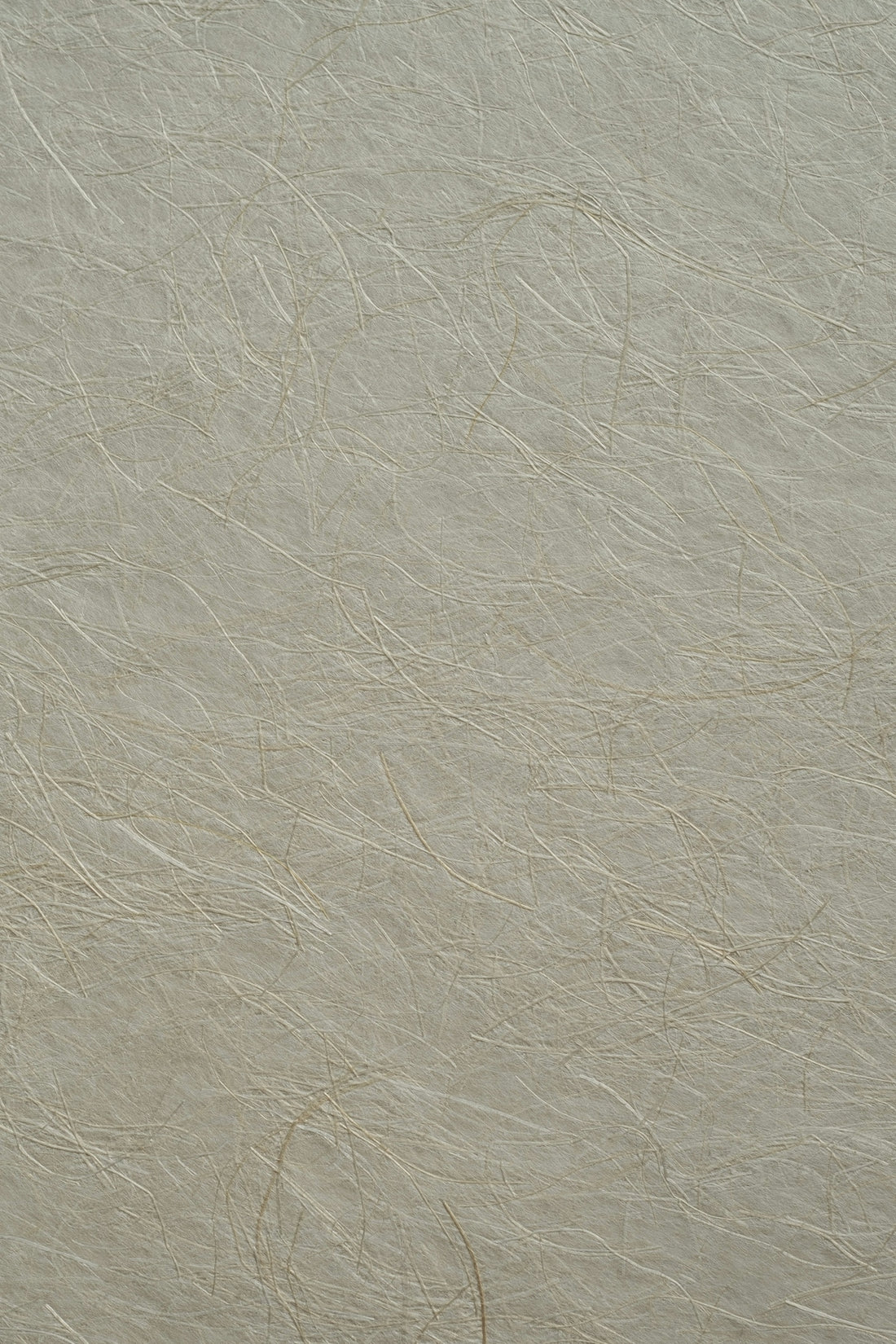 A light grey paper texture with fine fibrous strands throughout