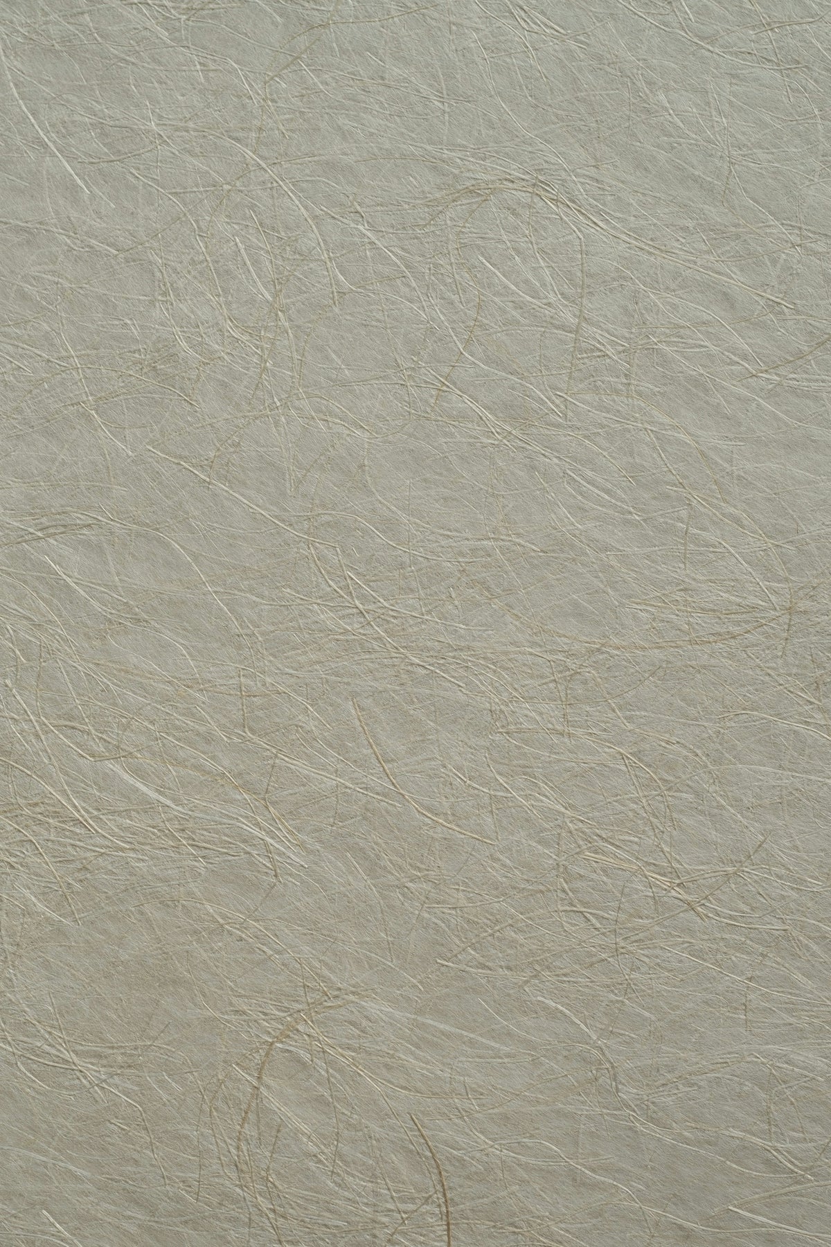 A light grey paper texture with fine fibrous strands throughout
