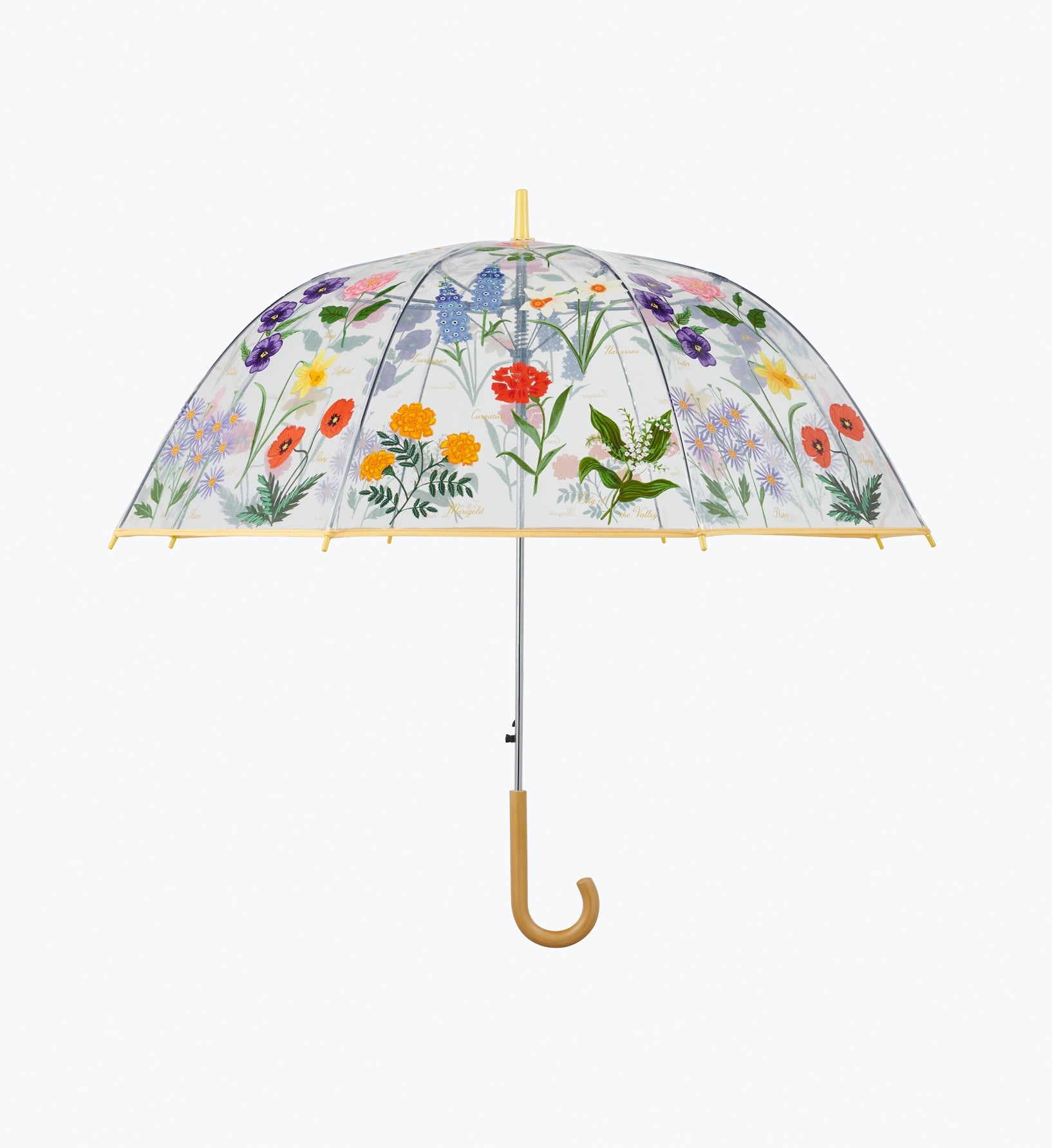 Cloverpaperco™ - Umbrella - Garden Study