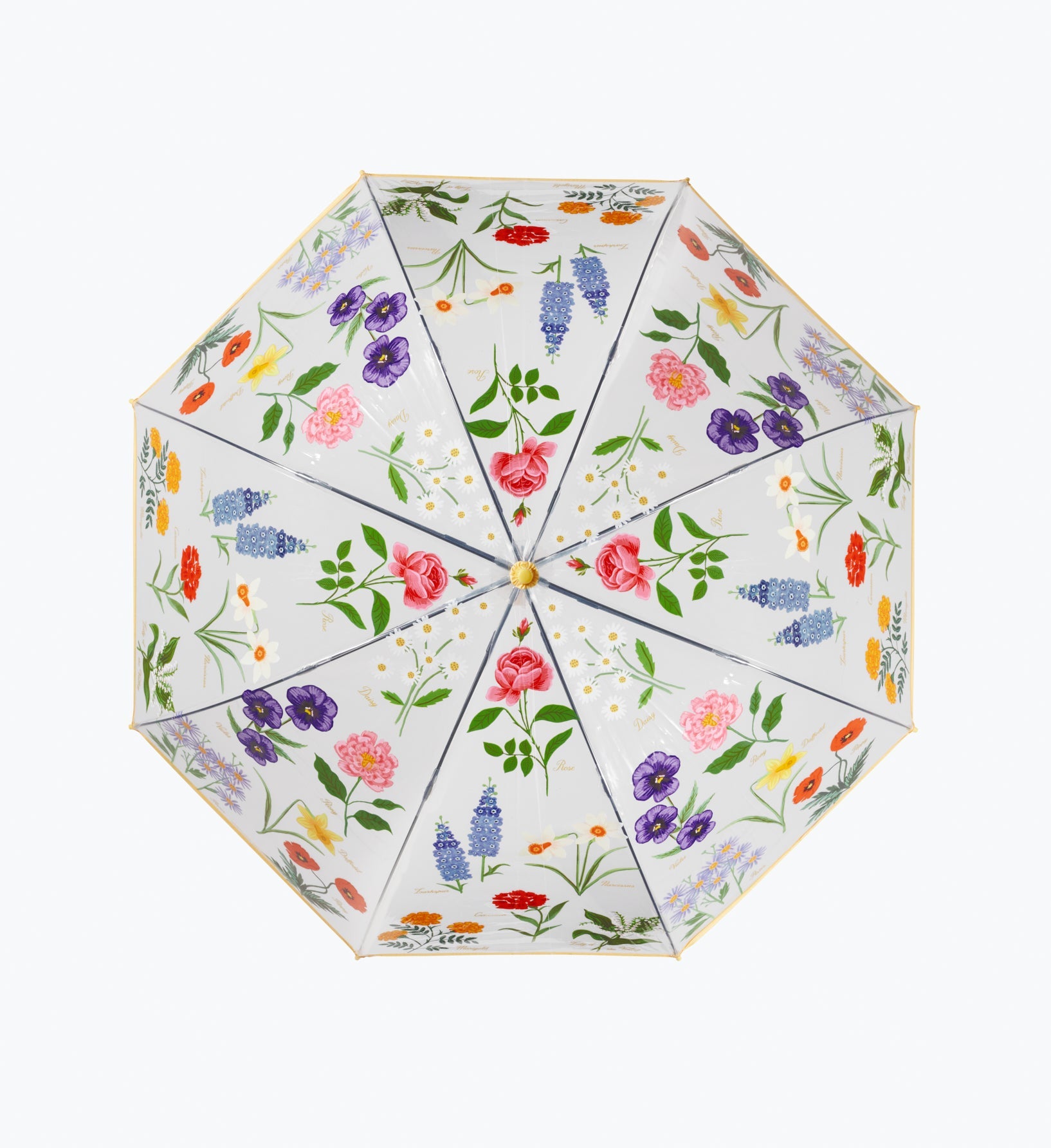 Cloverpaperco™ - Umbrella - Garden Study
