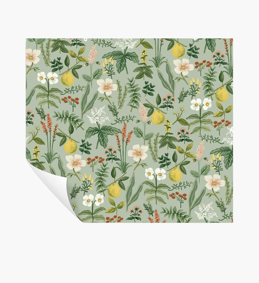 Cloverpaperco™ - Herb Garden Peel & Stick Wallpaper - Sage