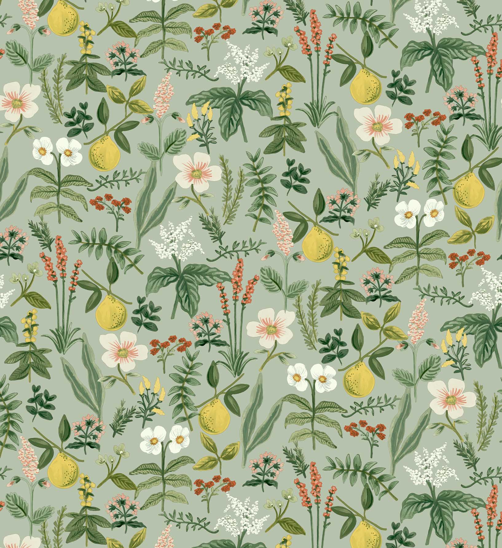 Cloverpaperco™ - Herb Garden Peel & Stick Wallpaper - Sage