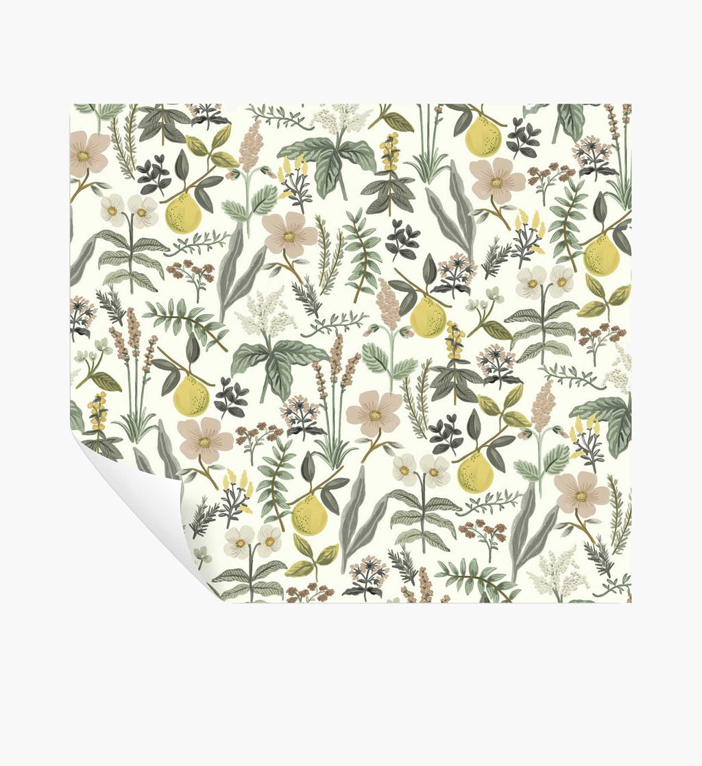 Cloverpaperco™ - Herb Garden Peel & Stick Wallpaper - Cream