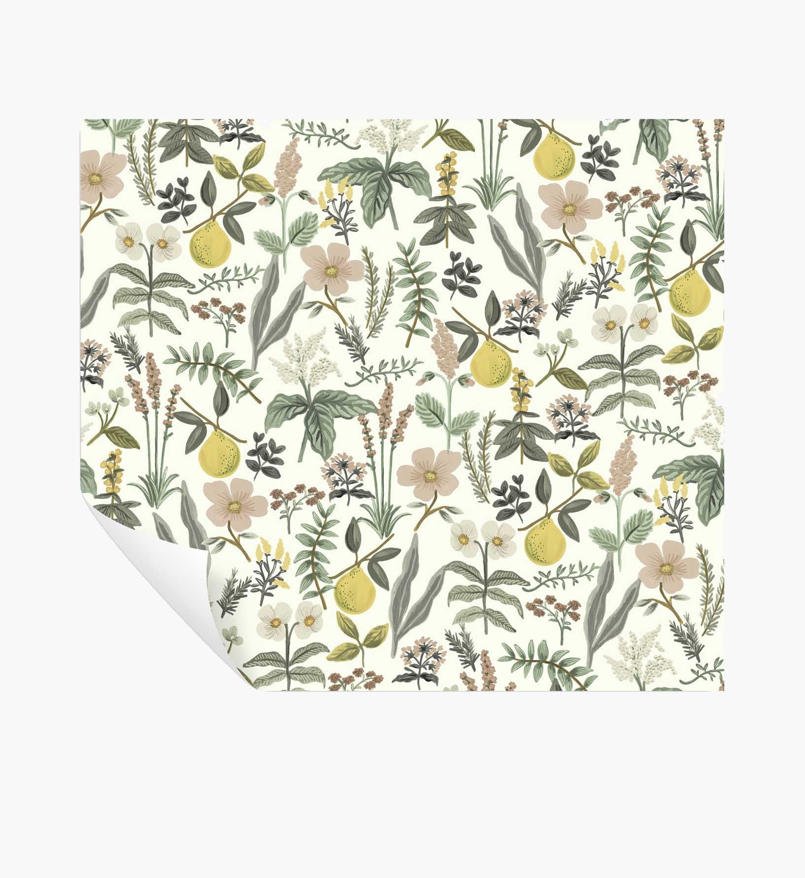 Cloverpaperco™ - Herb Garden Peel & Stick Wallpaper - Cream