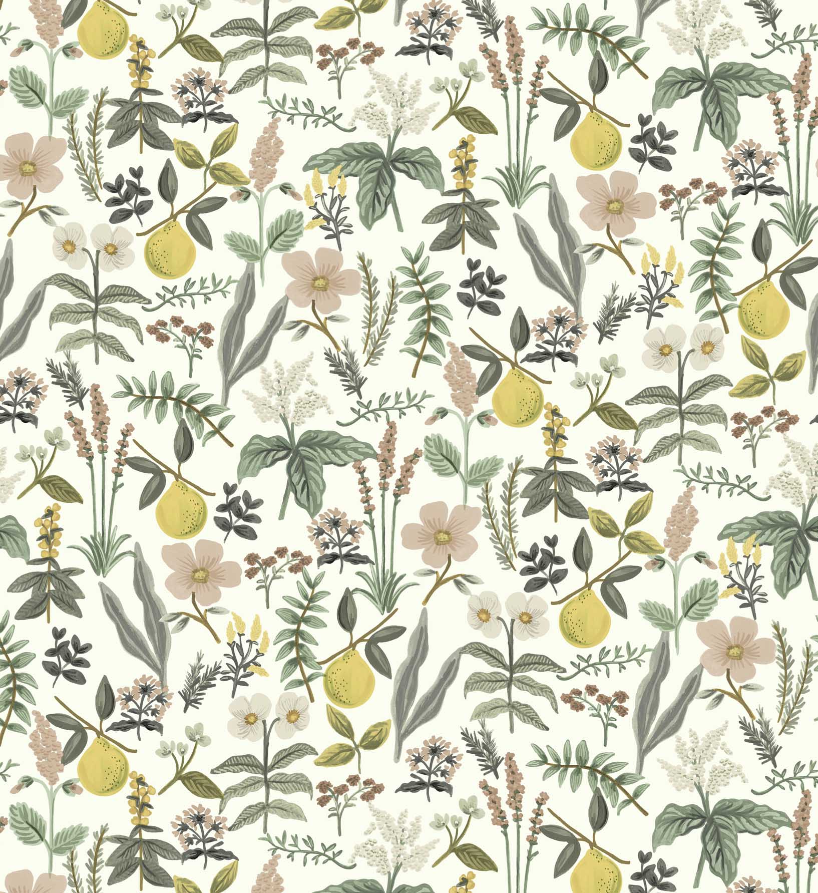 Cloverpaperco™ - Herb Garden Peel & Stick Wallpaper - Cream