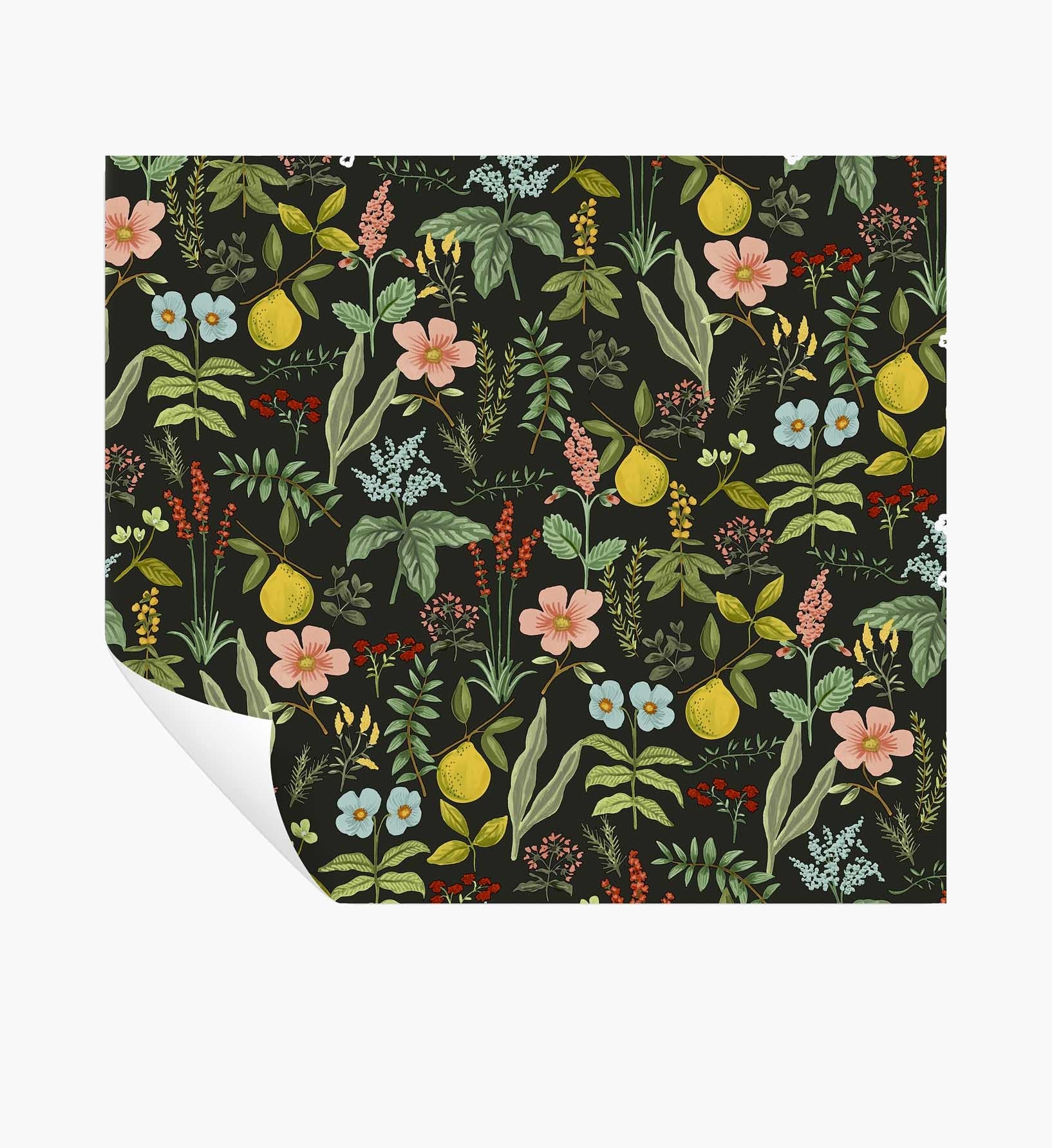 Cloverpaperco™ - Herb Garden Peel & Stick Wallpaper - Black