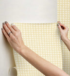 Cloverpaperco™ - Daisy Gingham Peel & Stick Wallpaper - Gold
