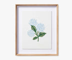 Cloverpaperco™ - Framed Wall Art - Hydrangea Cream