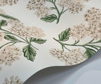 Cloverpaperco™ - Hydrangea Wallpaper - White & Blush