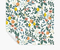 Cloverpaperco™ - Citrus Grove Peel & Stick Wallpaper - White
