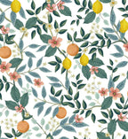 Cloverpaperco™ - Citrus Grove Peel & Stick Wallpaper - White